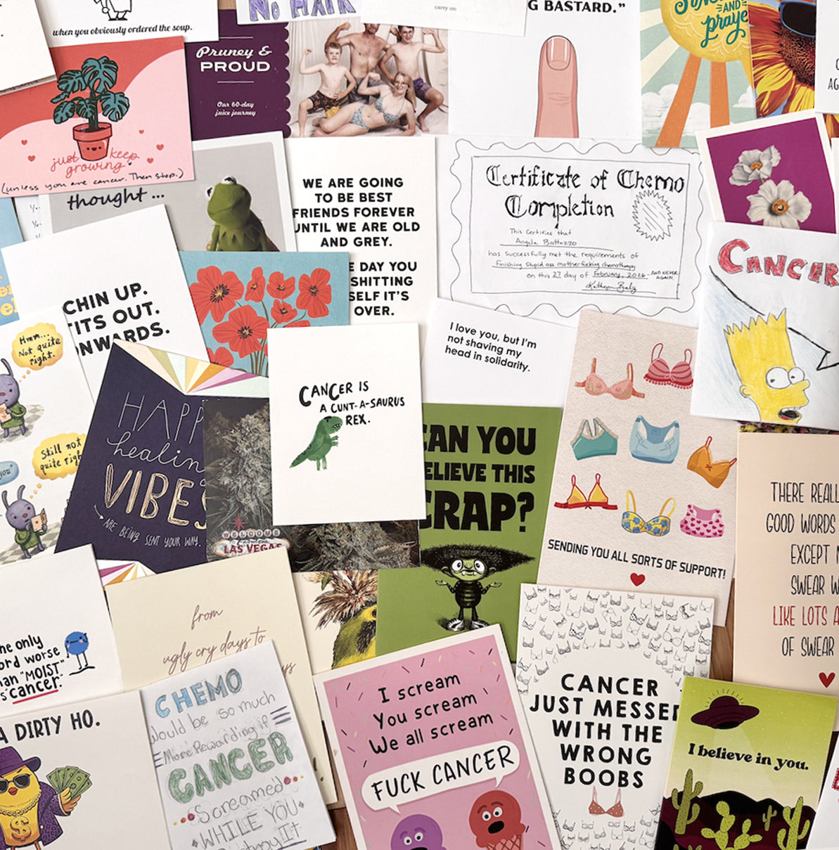 Your gift cured the cancer blog